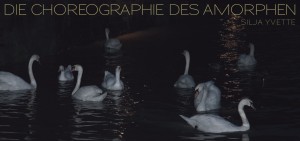 Flyer_Die_Choreographie_des_Amorphen-1